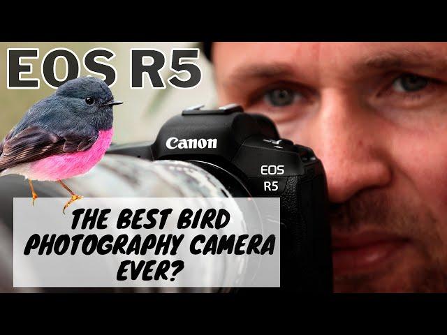 EOS R5 - The BEST Bird Photography Camera EVER?