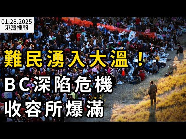 難民湧入大溫！BC省深陷無證移民危機: 收容所爆滿 ；加拿大華人崩潰！ 周邊鄰居10多戶半夜被砸 窗戶全是大洞； 重大變化！加拿大牛奶金新規 網友罵翻（《港灣播報》0128-1 CACC）