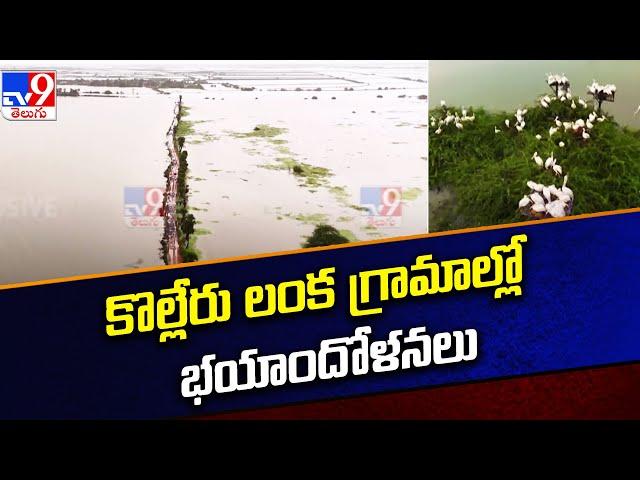 Kolleru Lake Overflowing With Floods | కొల్లేరు లంక గ్రామాల్లో భయాందోళనలు  - TV9