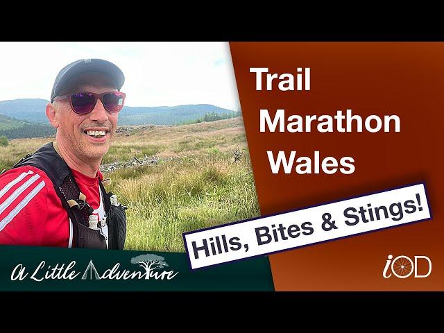 Running Coed y Brenin: Can I Make it Through Trail Marathon Wales?