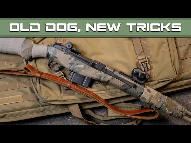 Springfield Armory M1A Scout - Old School Irons vs. Red Dots