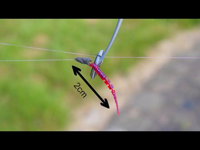 These Microscopic Lures Catch The Biggest Fish In The Canal!