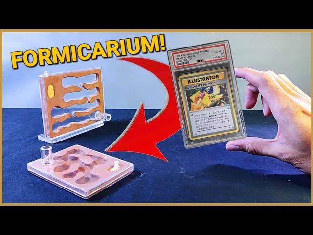 I TURNED COLLECTIBLE CARD CASE INTO ANT FARMS!