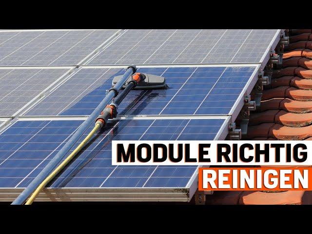 Photovoltaik richtig reinigen: Dreckige Module kosten bares Geld