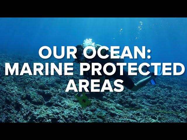 OUR OCEAN: MARINE PROTECTED AREAS - Ocean Conservation #3 | Conservation International Singapore