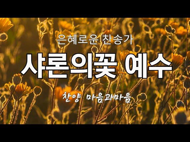 샤론의꽃 예수 (89장)-찬양/마음과마음(임석범,채유정)