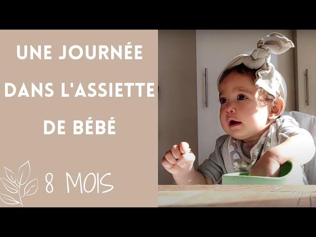 Une journée dans l'assiette de bébé (repas bébé 8 mois, naturopathie, alimentation saine, DME)