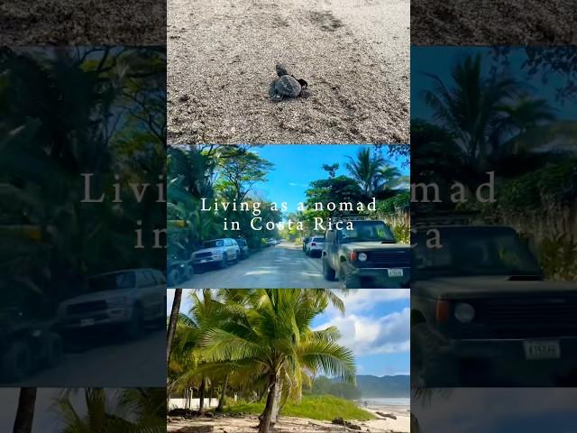 Imagine: Living as a Digital Nomad in Costa Rica |  Adventure travel | #shorts #travel #digitalnomad