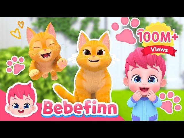 The Cat Song  I'm A Ginger Cat Boo! Meow | EP73 | Bebefinn Sing Along2 | Nursery Rhymes For Kids