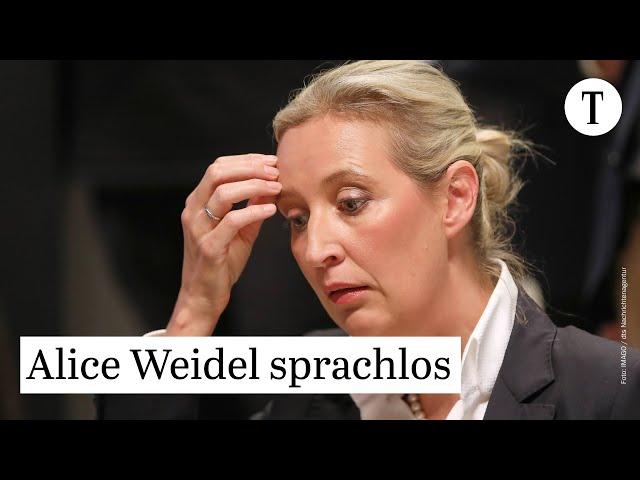 Alice Weidel reagiert auf Verbots-Versuch der AfD