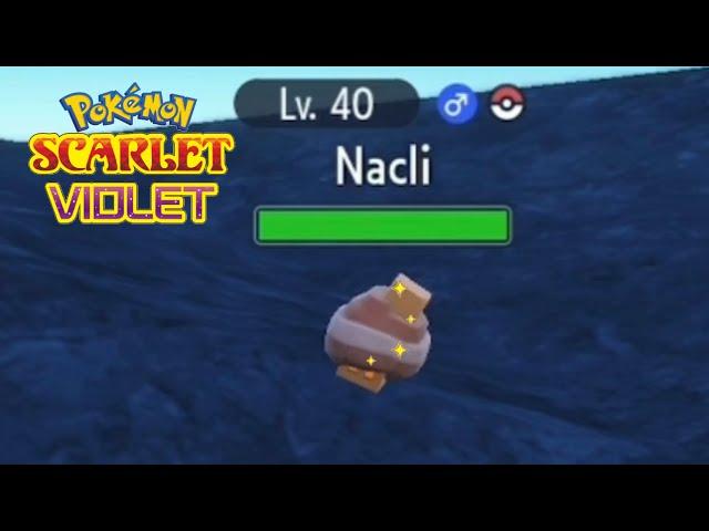 Shiny Nacli | Pokémon Scarlet & Violet