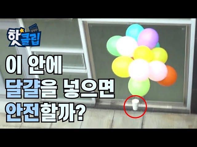 이것이 진정한 풍선효과? [핫클립] / YTN 사이언스