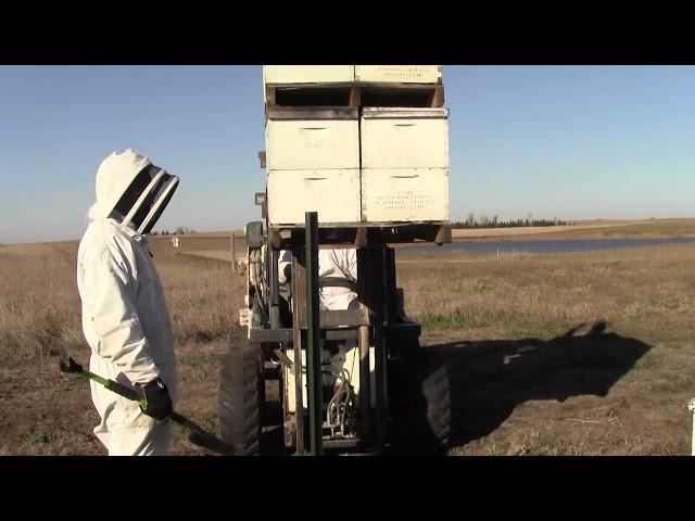 ND Apiary - Cleaning Pallets