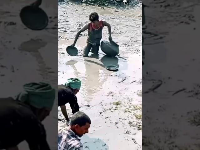 Rural Fishing Catching River By Fisherman. Big Carp Fish In A Hill Hole Underground #fishing #video