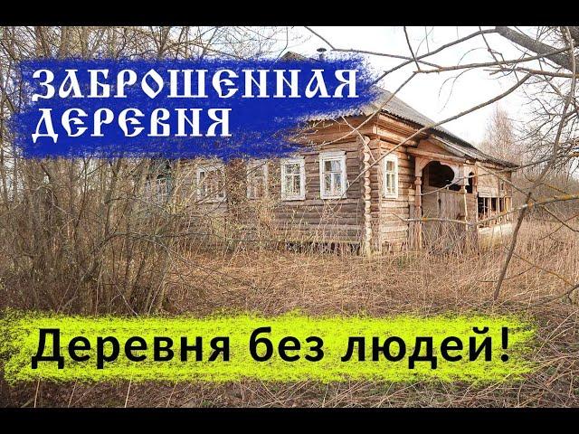 Заброшенная деревня в Тверской области. Сонковский район. Дома в которых можно жить