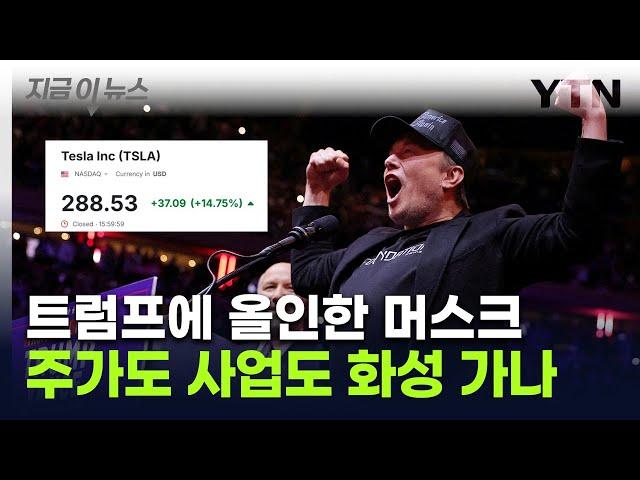 트럼프 "머스크는 슈퍼 천재"...'위험한 베팅' 성공에 테슬라 주가 훨훨 [지금이뉴스] / YTN