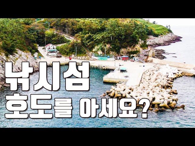 [다리tv] 낚시섬 호도를 아세요?! 낚시&펜션&캠핑!!!  고래빼고 다 잡는 섬?!