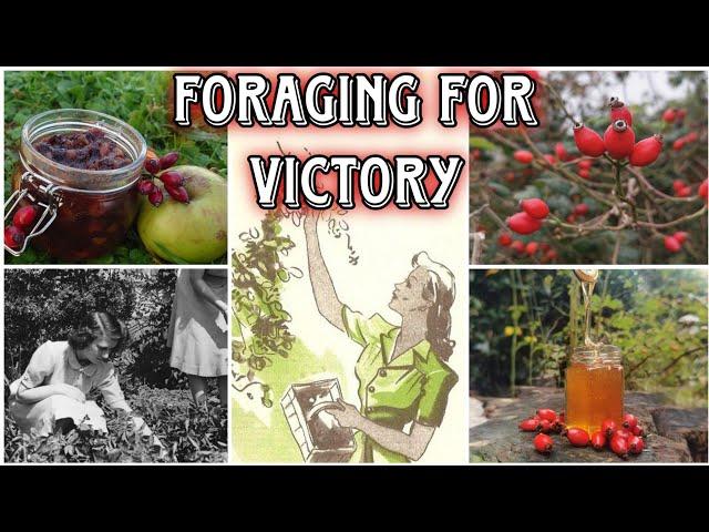 The Hedgerow Harvest - The Wild Food & Medicine Of WW2 