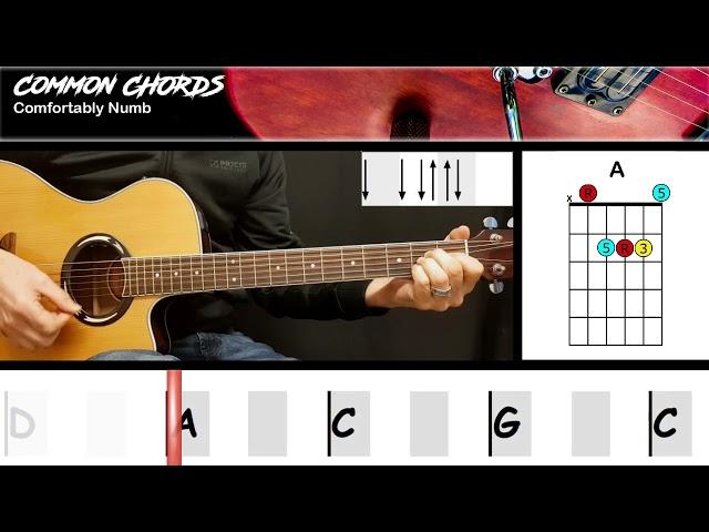 Comfortably Numb - Pink Floyd | EASY GUITAR | Common Chords