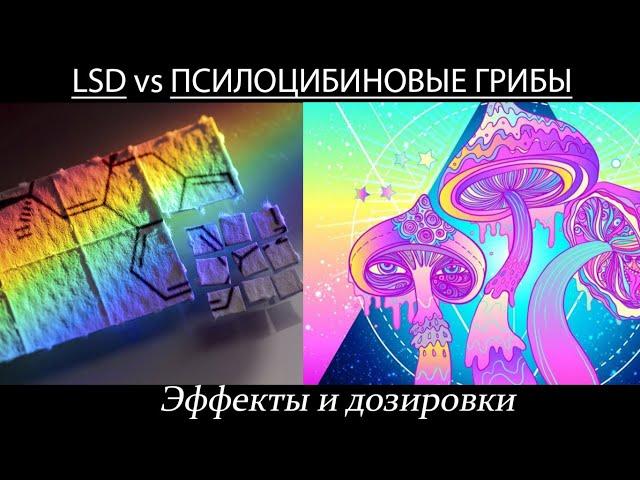 ЛСД vs ПСИЛОЦИБИНОВЫЕ ГРИБЫ. ДОЗЫ И ЭФФЕКТЫ. МИКРОДОЗИНГ.