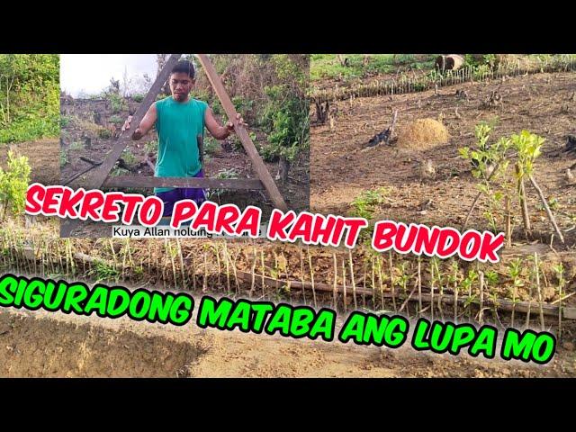 5 SIMPLE STEPS IN CONTOUR FARMING METHOD PARA MATABA ANG LUPA KAHIT BUNDOK PA