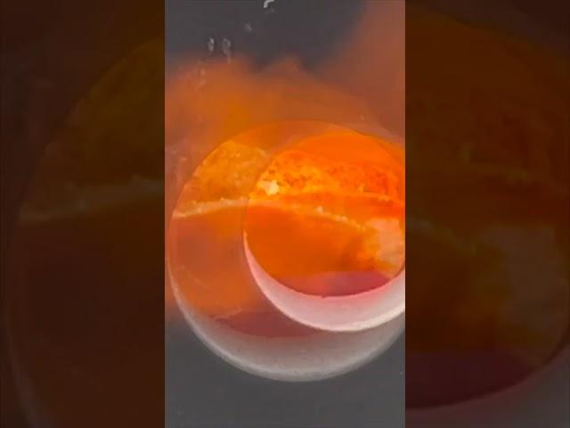 Will it MELT?   Grilled Cheese Reuploaded for Short #Shorts #w2m  #fyp