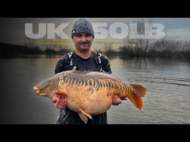 I caught a MONSTER 50LB Mirror From Coking Farm! Big Carp Fishing UK