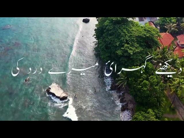 Best urdu poetry status | shayari status | whatsapp status | tiktok | @waseemmirpoetry