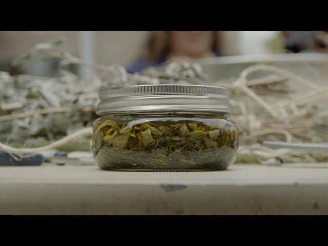 The Making of Traditional Plant Medicine | Tending Nature | KCET