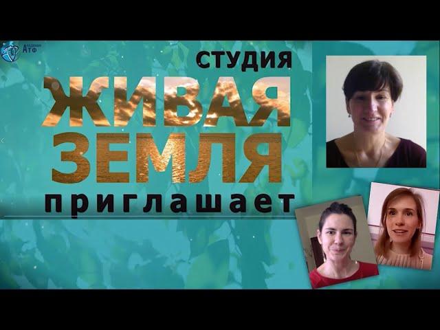 О нетворкинге в Академии эволюции разума.