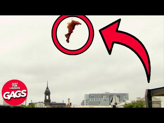 Craziest City Pranks 2024 | Just For Laughs Gags