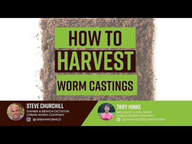 Harvesting Worm Castings