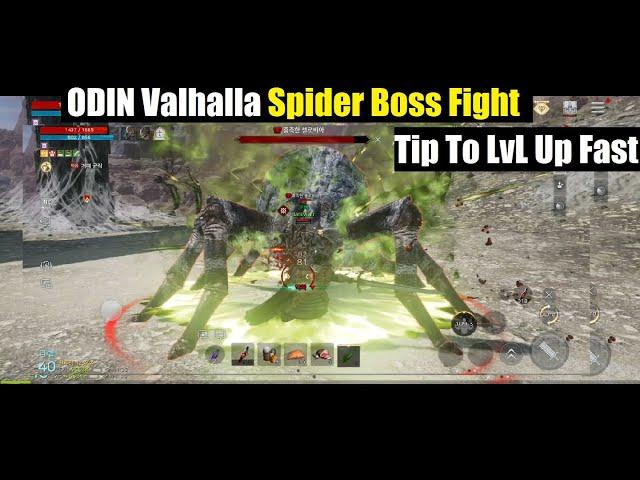 Odin Valhalla Rising Spider Boss Fight & Tips + How To Level Up Fast!