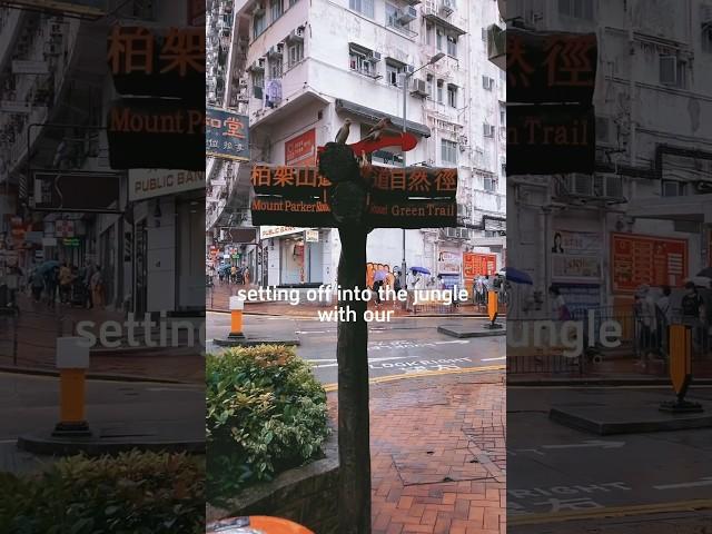 Hong Kong’s Hidden Library #books #vlogging  #hongkong