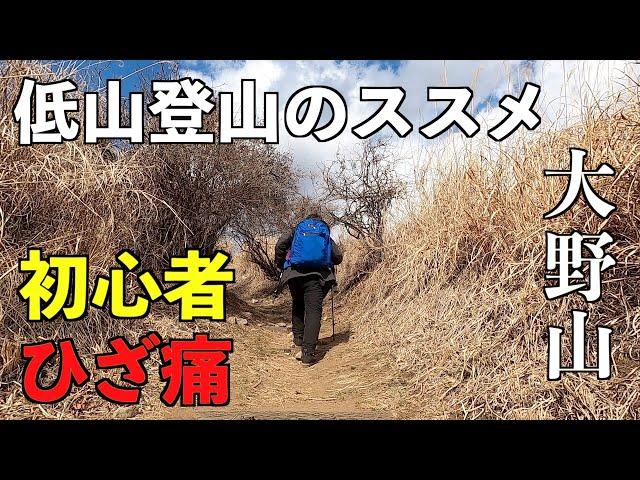 初心者メタボは低山から！膝痛にならない低山ハイクの魅力