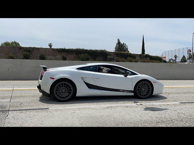 Chasing Effspot's Crazy Loud Lamborghini Gallardo Superleggera! Reactions