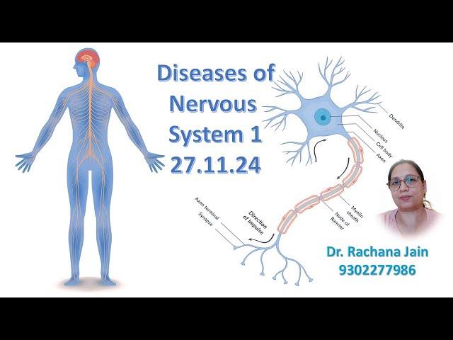 Nervous System part 1 27 11 24 M.A  M.Sc Yogic Science Dr. Rachana Jain