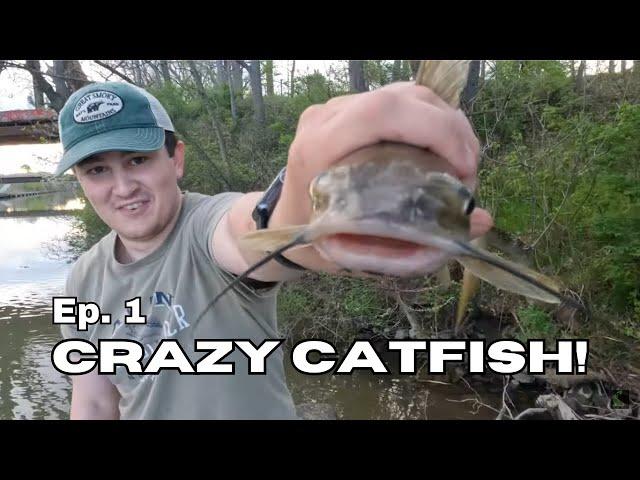 CRAZY Catfish (NEW PB!!!) - Ambitious Anglers Episode 1