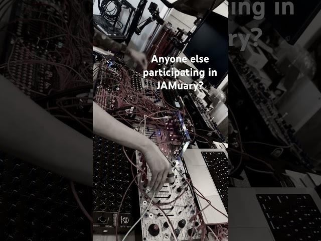 JAMuary 7 with a little techno! #techno #music #electronicmusic #buchla #eurorackmodular