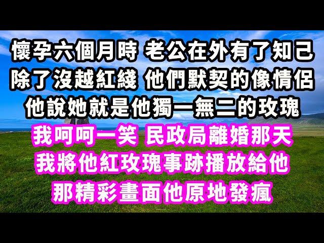 懷孕六個月時老公在外有了知己，除了沒越紅綫他們默契的像情侶，他說她就是他獨一無二的玫瑰，我呵呵一笑，民政局離婚那天，我將他紅玫瑰事跡播放給他，那精彩畫面他原地發瘋#追妻火葬場#大女主#現實情感#家庭