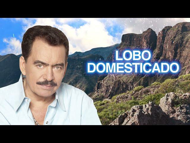 Joan Sebastian – Lobo Domesticado (Letra Oficial)