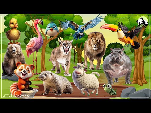 Bustling Animal World Sounds: Parrot, Toucan, Sheep, Praying Mantis, Otter - Farm Animal