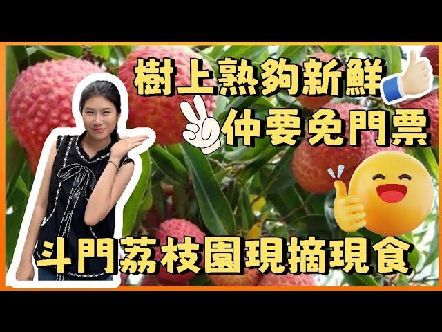 樹上熟荔枝 現摘現食夠曬新鮮 宜家正係荔枝嘅季節 大家gogogo 宜家仲要免門票 最啱一家大細體驗採摘嘅樂趣
