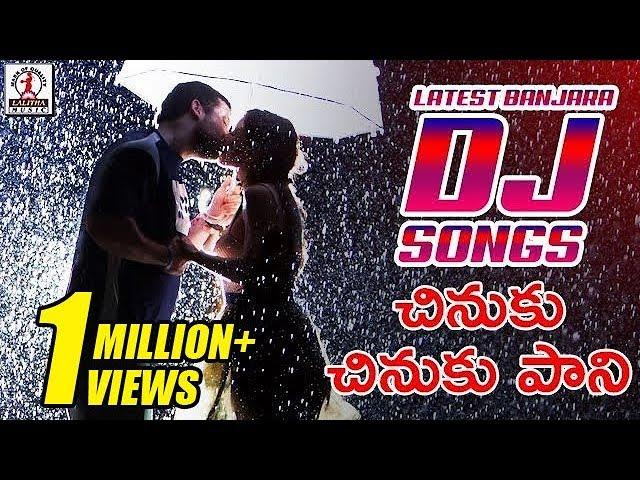 Latest Banjara DJ Songs | Chinuku Chinuku Pani DJ Song | Lalitha Audios And Videos