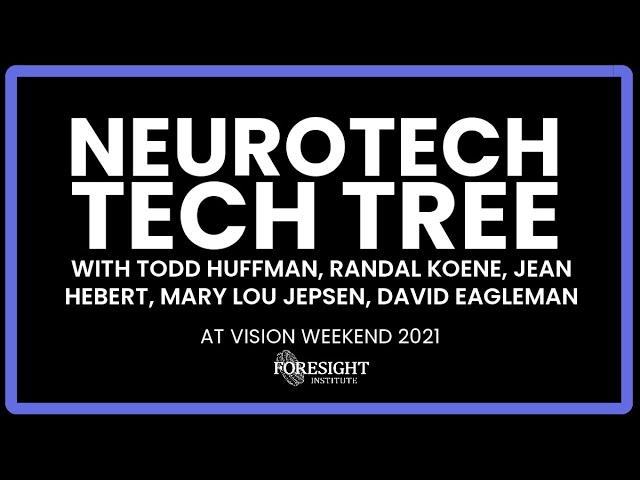 Neurotech Tech Tree: Brain Computer Interface & Whole Brain Emulation | Vision Weekend US 2021