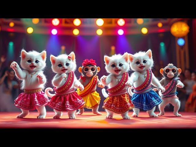 Cat & Monkey Dance Show #003  | Funniest Video Ever! #funnycat #dancingmonkey