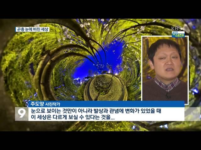 곤충의 눈으로 본 ‘색다른 세상’