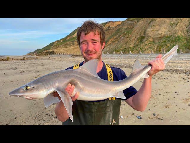 The BEST BEACH FISHING We've Caught On Camera!