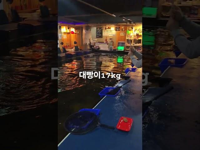 인천최대민물고기 #실내낚시터
