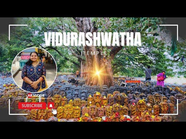 Vidurashwatha Temple | Tourist Place | Karnataka | AB Vlogs